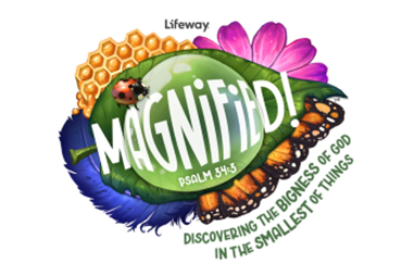 Magnified VBS logo Magnified VBS logo